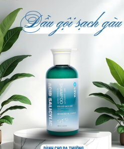 Dầu Gội Sạch Gàu L’EVA